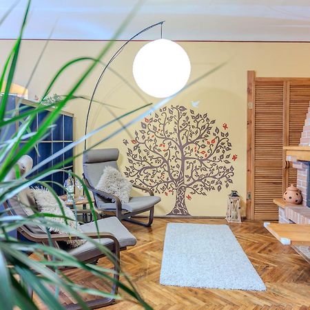Tree House-Old Town Brasov Apartment Exterior photo