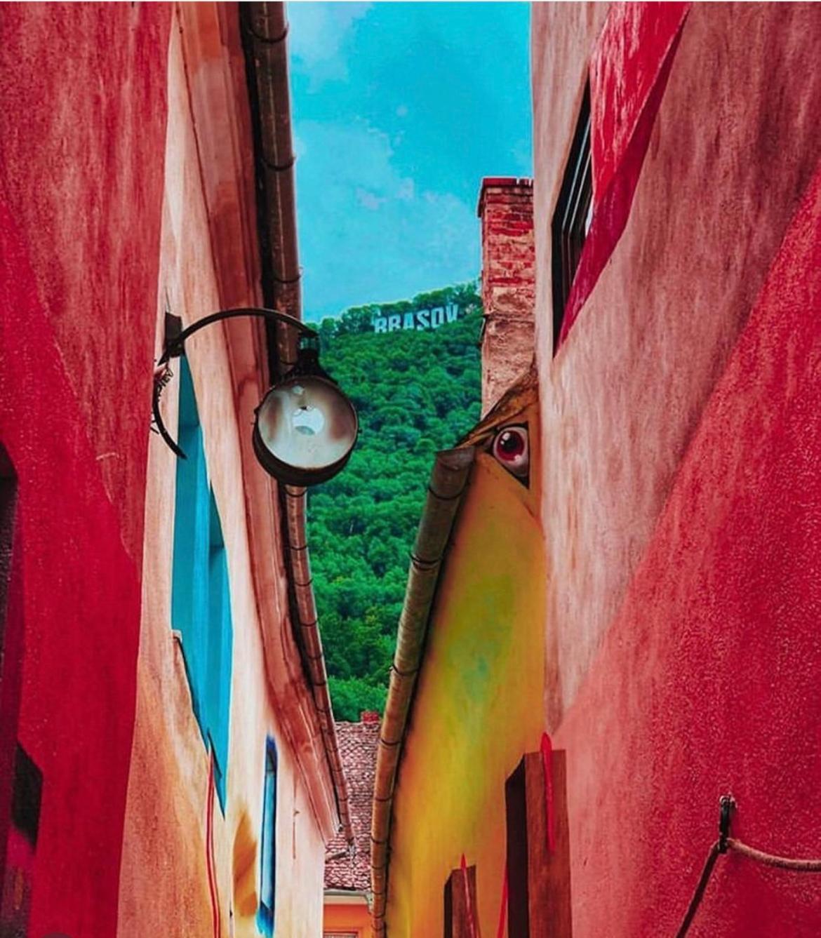 Tree House-Old Town Brasov Apartment Exterior photo